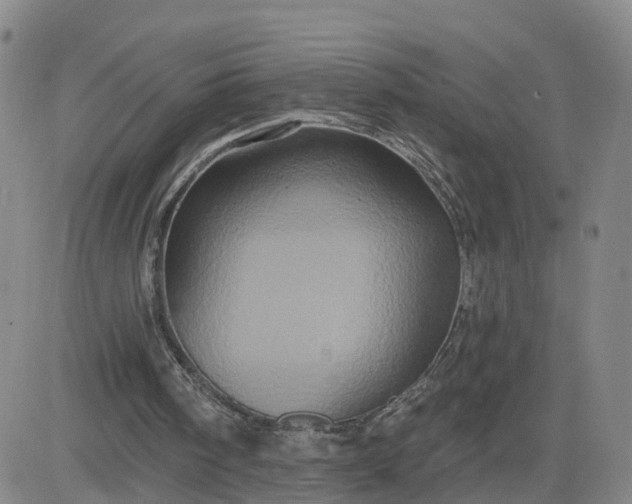 X0000083570098200702231640