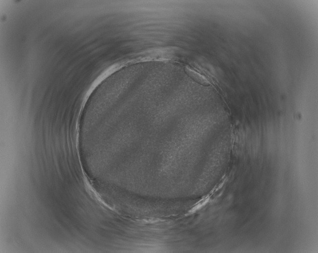 X0000083570100200702231640