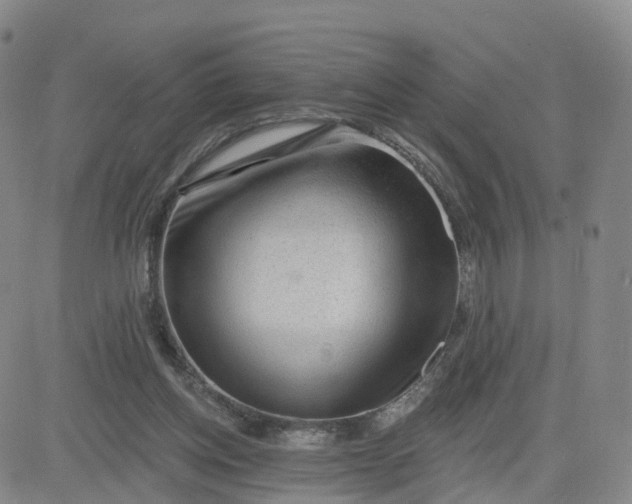 X0000083570158200702231638