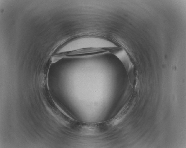 X0000083570164200702231639