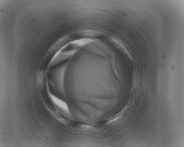X0000083570167200702231639