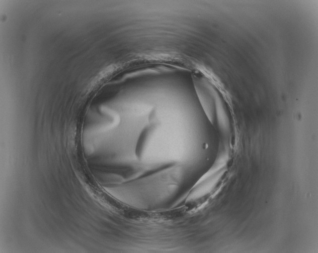 X0000083570201200702231638