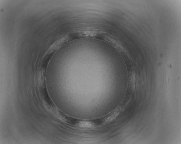 X0000083570218200702231638