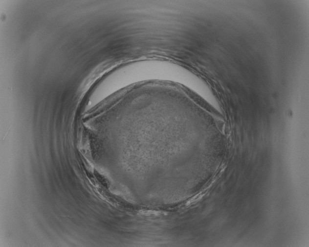 X0000083570242200702231637