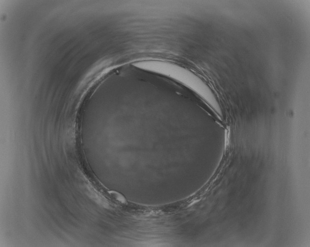X0000083570243200702231637