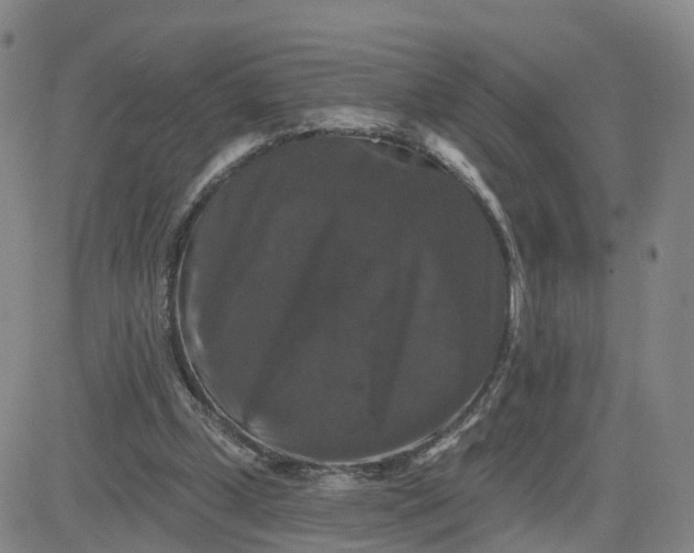 X0000083570249200702231637