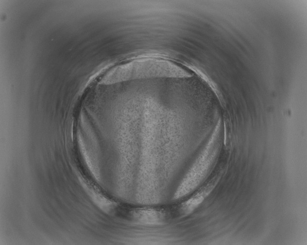 X0000083570253200702231637