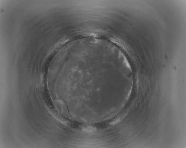 X0000083570258200702231637