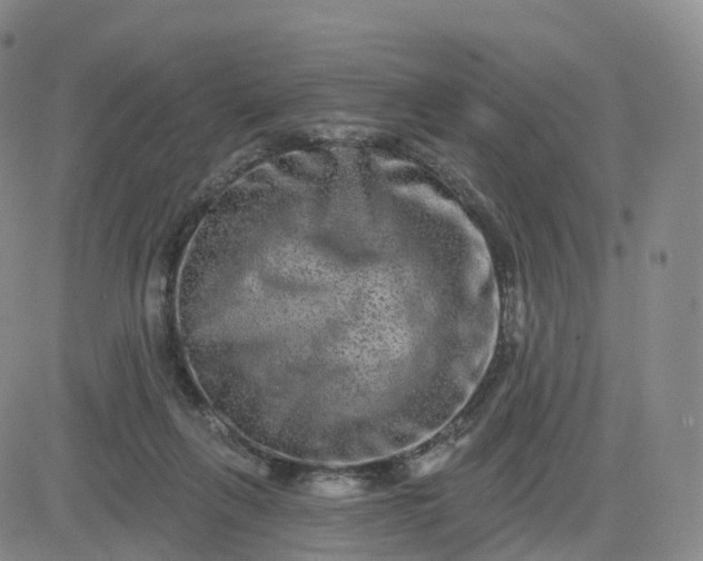 X0000083570263200702231637