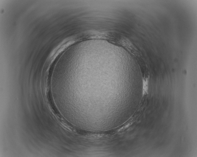 X0000083570291200702231637