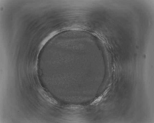 X0000083570292200702231637