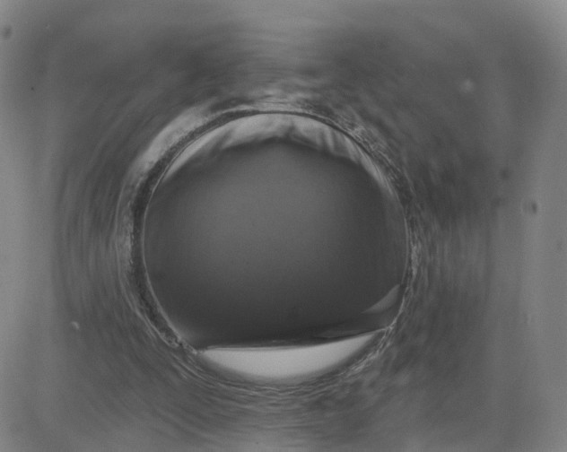 X0000083570295200702231637