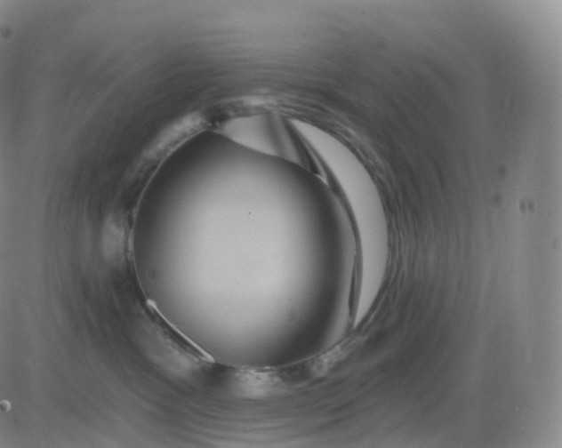 X0000083570333200702231636