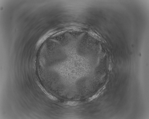 X0000083570341200702231635