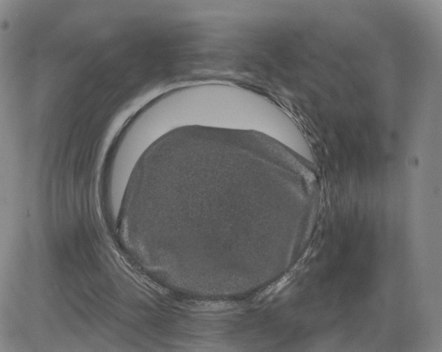 X0000083570342200702231635