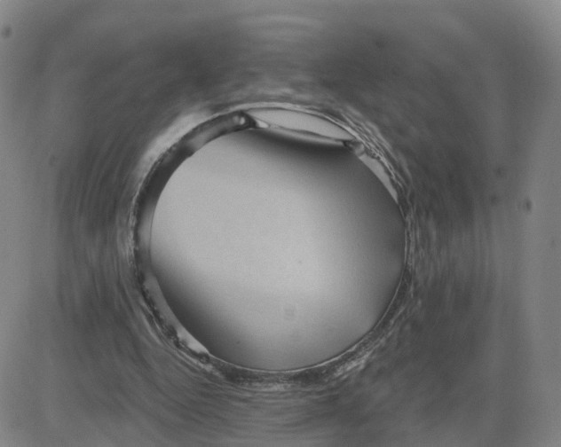 X0000083570344200702231635