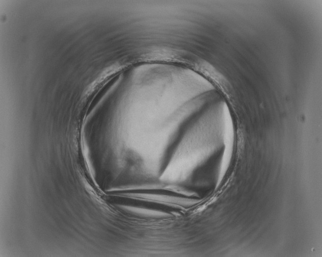 X0000083570345200702231635