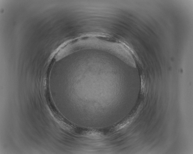X0000083570348200702231635