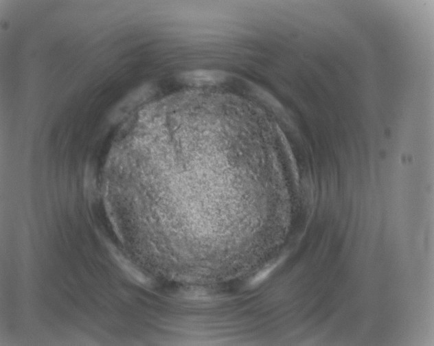 X0000083570381200702231636