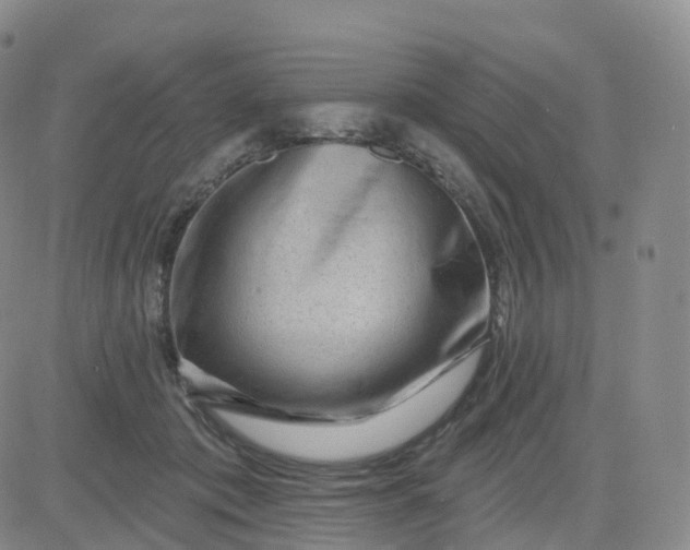 X0000083570413200702231635