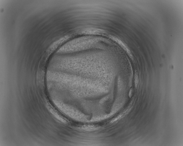 X0000083570445200702231634