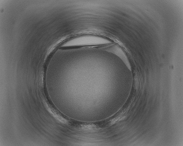 X0000083570446200702231634