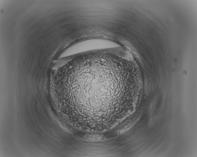 X0000083570449200702231634