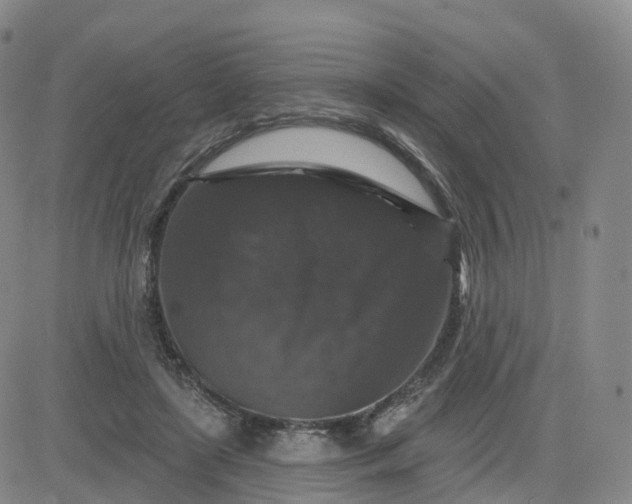 X0000083570451200702231634
