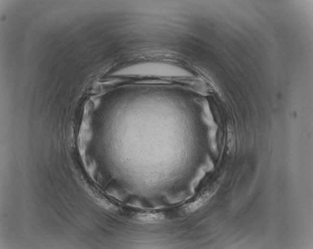 X0000083570453200702231634