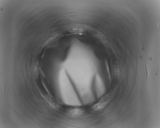 X0000083570460200702231634