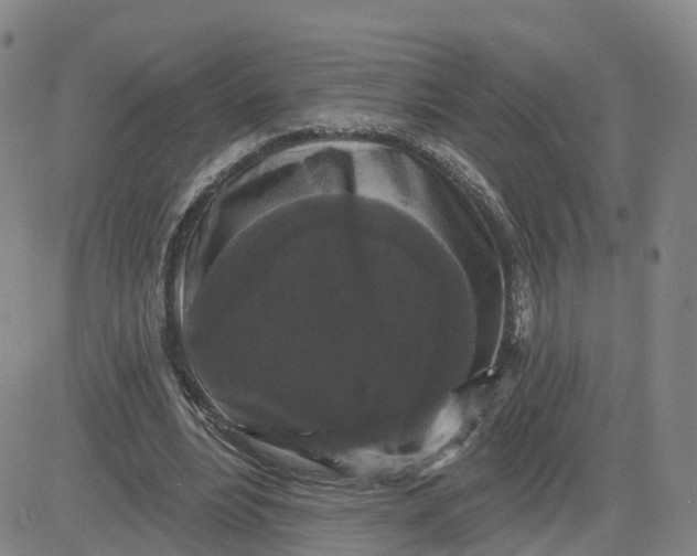 X0000083570488200702231633
