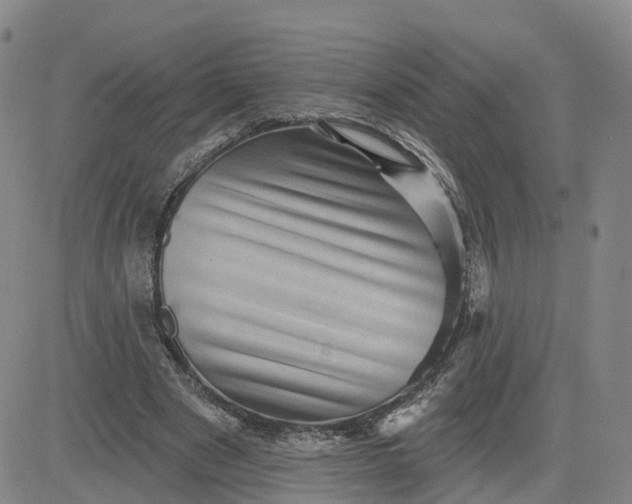 X0000083570489200702231633