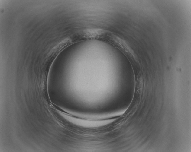X0000083570505200702231633