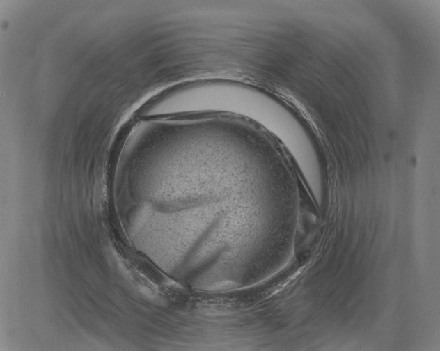 X0000083570532200702231632