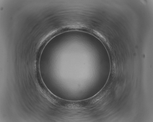 X0000083570535200702231632
