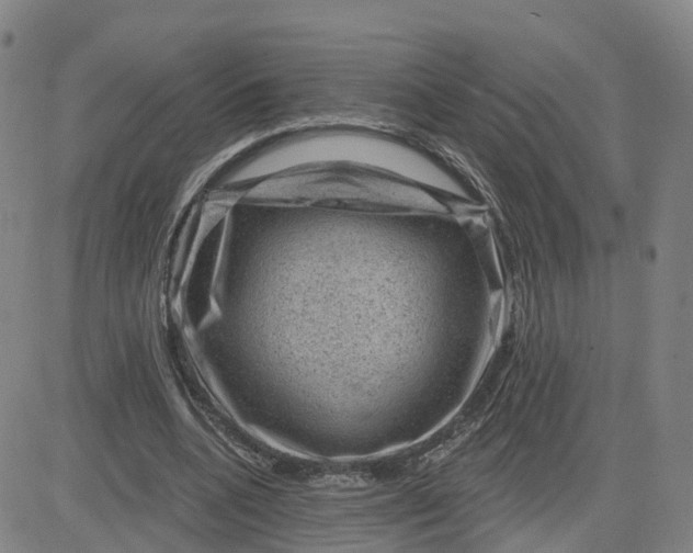 X0000083570536200702231632