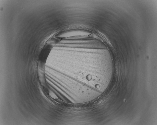 X0000083570538200702231632