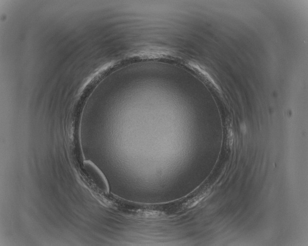 X0000083570539200702231632