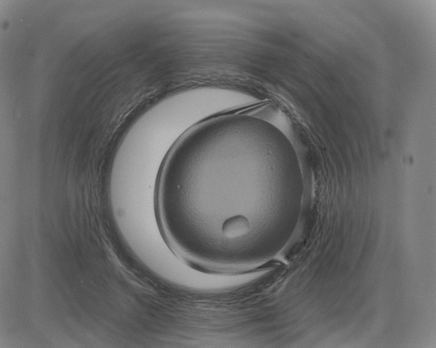 X0000083570546200702231632