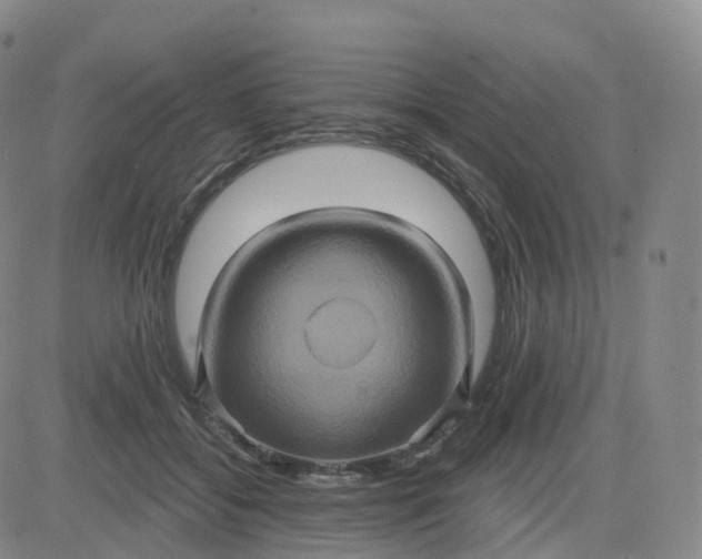 X0000083570556200702231632