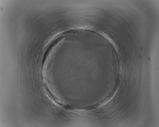 X0000083570577200702231632