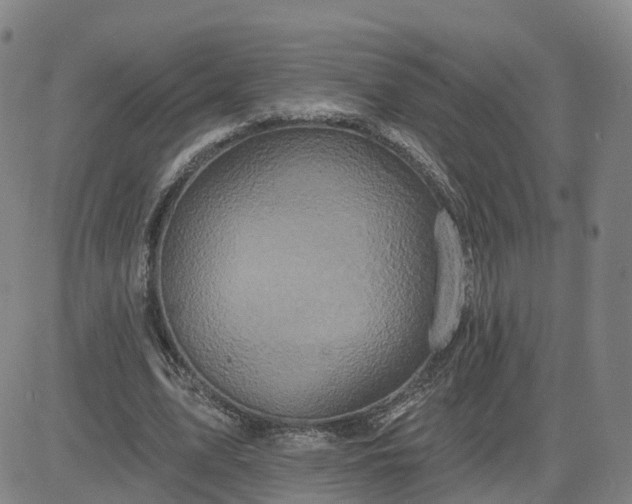X0000083570583200702231632