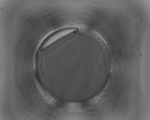 X0000083570584200702231632