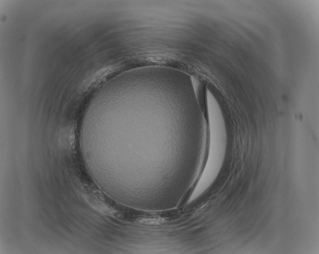 X0000083570595200702231631