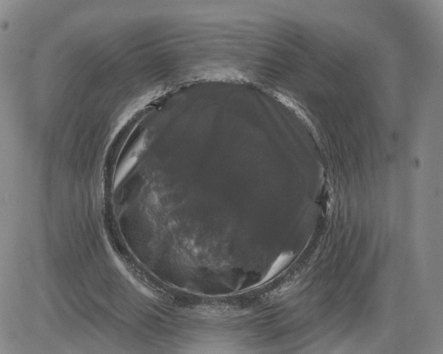 X0000083570630200702231630