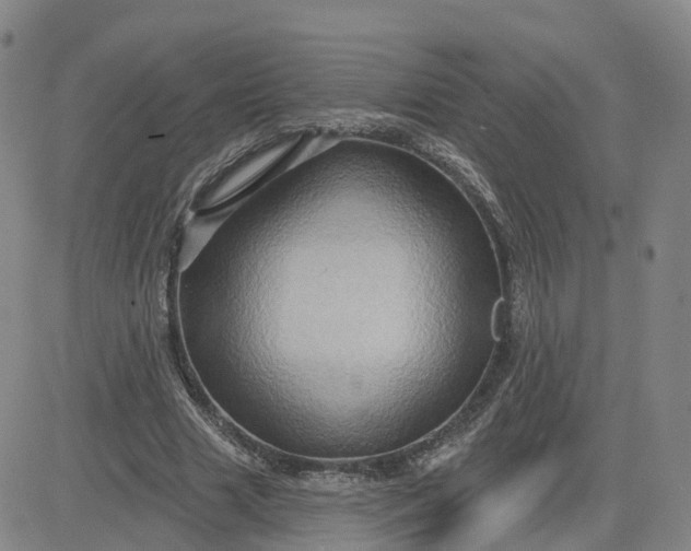 X0000083570633200702231630
