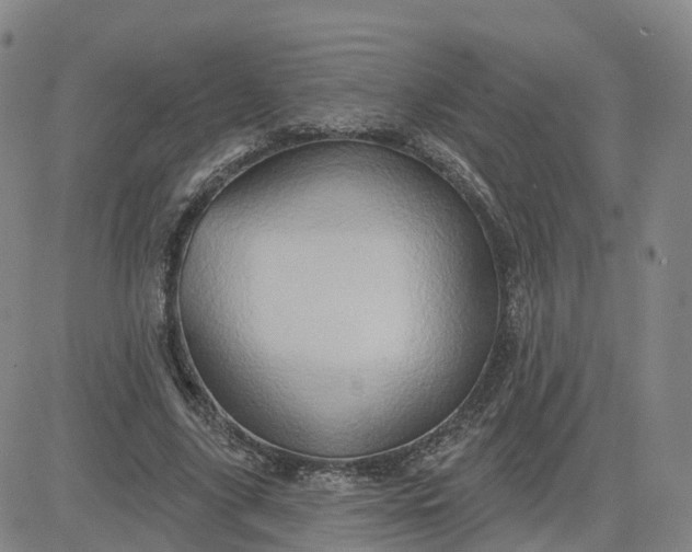 X0000083570635200702231630