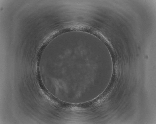 X0000083570637200702231630