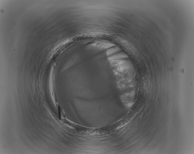 X0000083570640200702231630