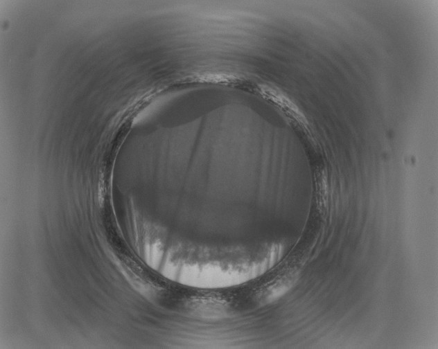 X0000083570644200702231631